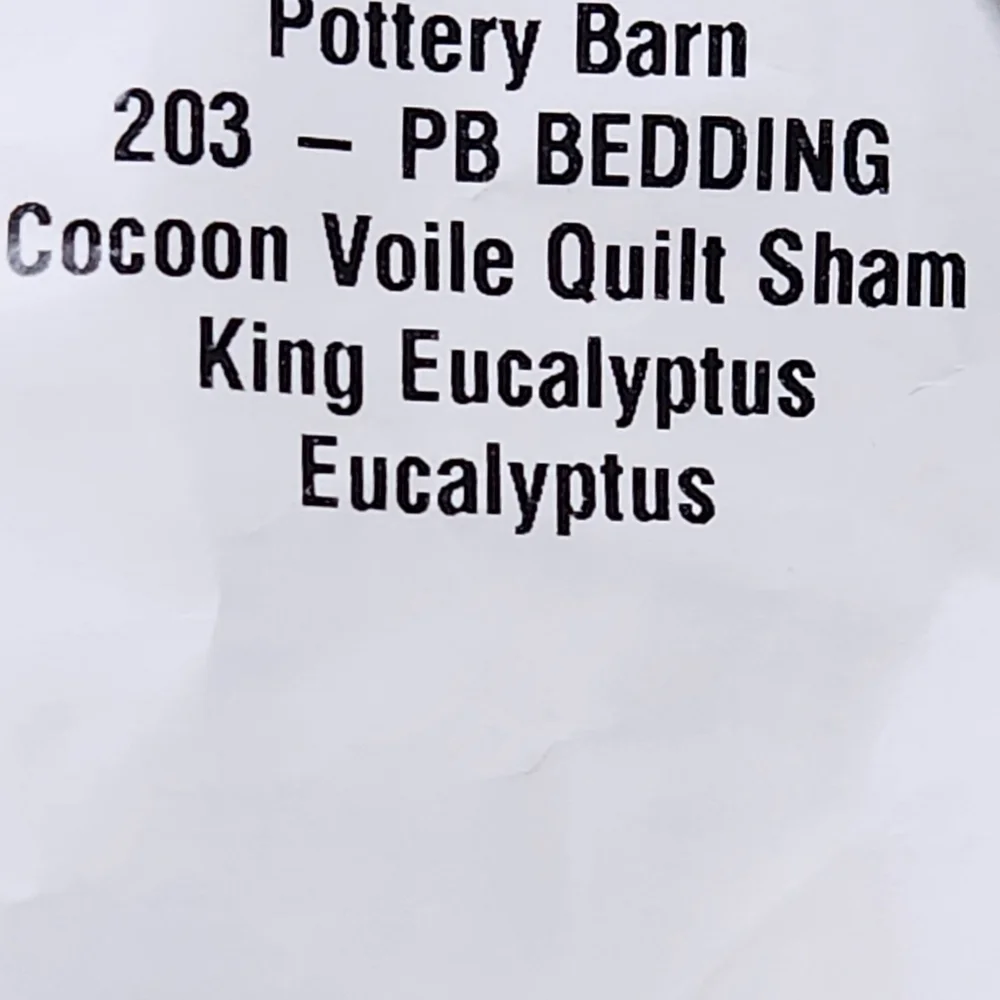 Pottery Barn Cocoon Voile Quilted King Sham Eucalyptus Sage Green (Studio Prop)